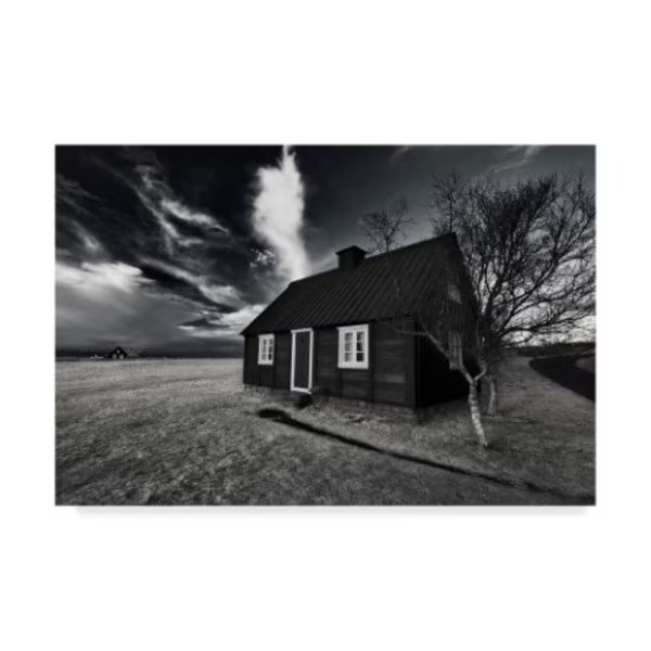 Bragi Ingibergsson 'Old' Canvas Art, 30x47, Trademark Fine Art, Mfr#: 1X04975-C3047GG